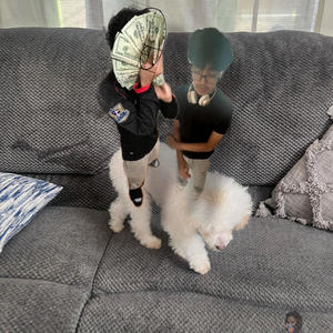 ok mijo (toolie) (Explicit)