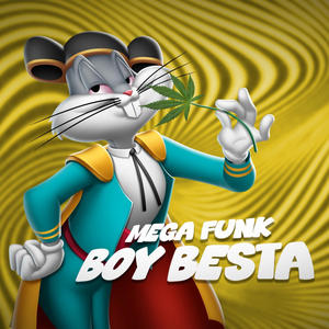 MEGA FUNK BOY BESTA