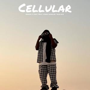 Cellular (feat. Naco, Ntando yamahlubi & Blaq note)