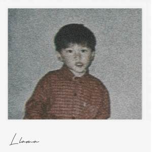 Llama (Explicit)