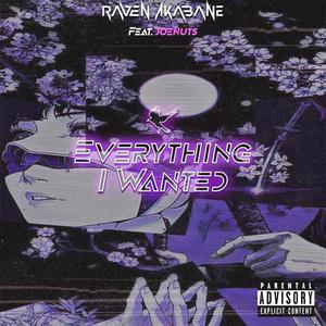 Everything I Wanted (feat. Joenuts) [Explicit]