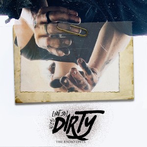 (not so)DIRTY: The Radio Edits (Radio Edit)