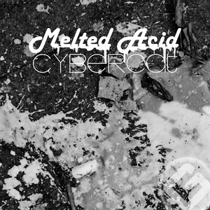 Melted Acid (Original Mix)