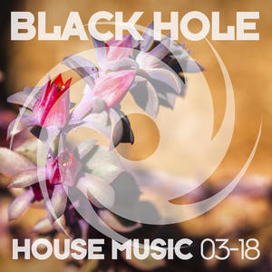 Black Hole House Music 03-18