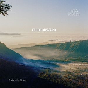 Feedforward