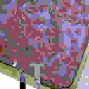 niedamrady weary zwrotka