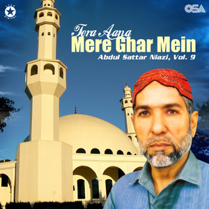 Tera Aana Mere Ghar Mein, Vol. 9