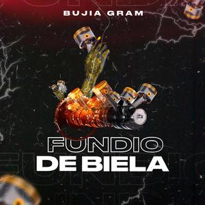 Fundio De Biela