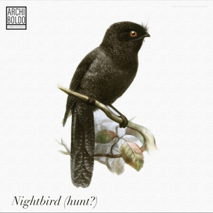 Nightbird (Hunt?)