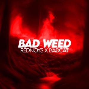 Bad **** (feat. badcatleatmebreakthis) [Explicit]