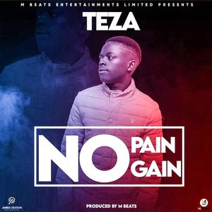 No Pain No Gain