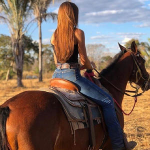 Mtg Me Abandonou (feat. DJ MATHEUS HENRIQUE & MC WK)