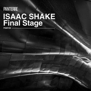 Final Stage (Original Mix)