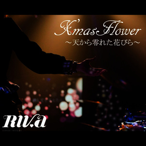 X'mas Flower