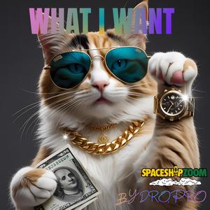 WHAT I WANT (feat. SKITSPRO MP)