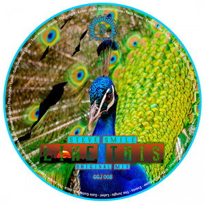 Like This (Original Mix)