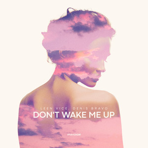 Don't Wake Me Up