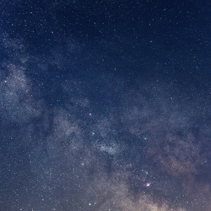 La Vida en Los Trópicos