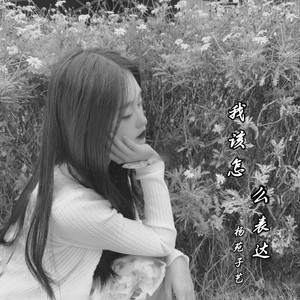 我该怎么表达