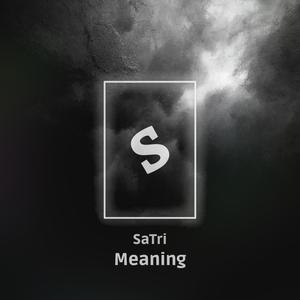 Meaning