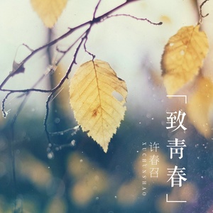 爱恨情仇十一年