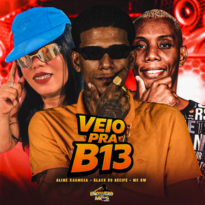 VEIO PRA B13 (Explicit)