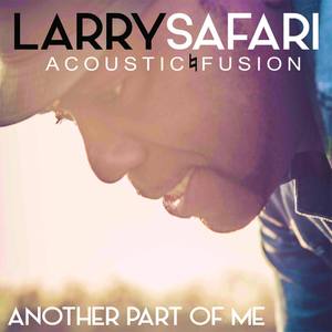 Acoustic Fusion - Another Part of Me