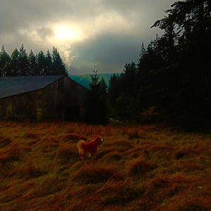 Autumn Again (******* Kid) (feat. Jagged Crescent & Ben Piper) (Explicit)