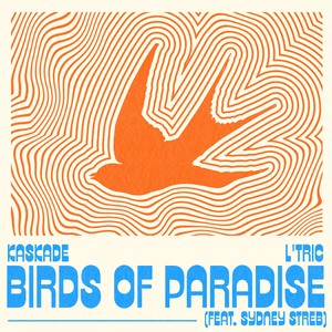Birds of Paradise (Extended Mix)