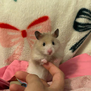 Time goes by (feat. S1umpy)