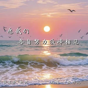 愿我们各自努力顶峰相见
