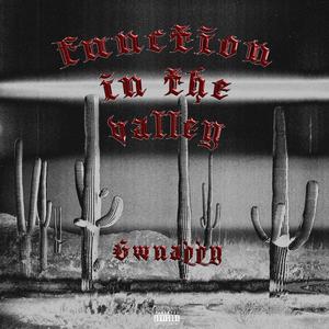 Function in the Valley (Explicit)