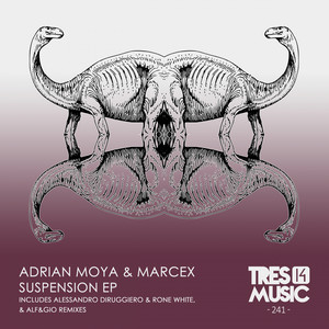 SUSPENSION EP