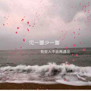 有些人不会再遇见（见一面少一面）