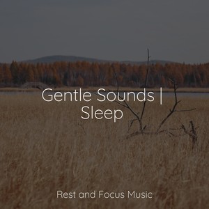 Gentle Sounds | Sleep