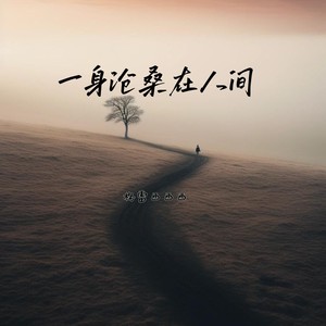 一身沧桑在人间封面