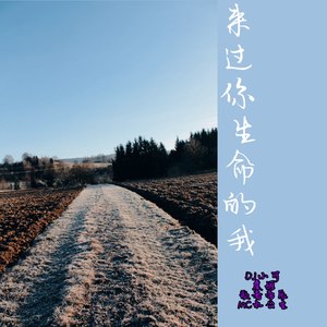 娜娜摇这个版本超美封面