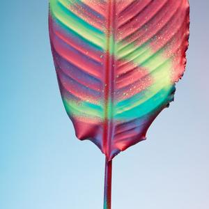 Silent Colors Drifting