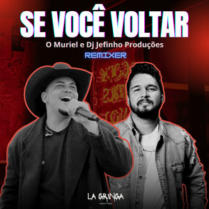 Se Você Voltar (Remix)