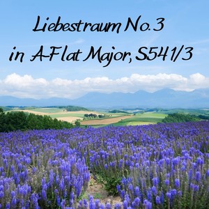 Liebestraum No. 3 in A-Flat Major, S.541/3