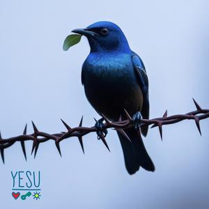 Yesu (feat. Mark Eteson) (Extended Mix)