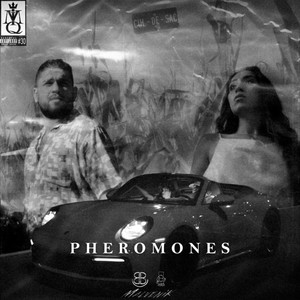 Pheromones (Explicit)