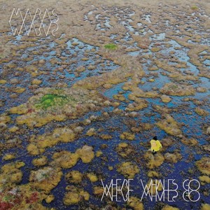 Texas I, II, III, IV: Part I. Roots For Our Hearts, Part II. A Body In Space, Part III. See What We Share, Part IV. My Grandmothers House