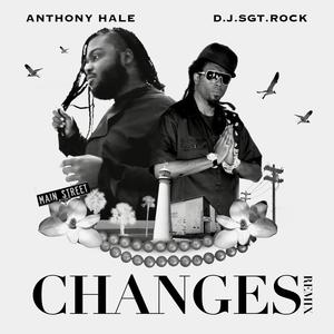 Changes (feat. D.J.SGT.ROCK) (Remix)