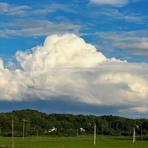 Eggshell song (荷包蛋之歌)