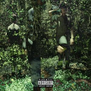 Draymond Green (Explicit)