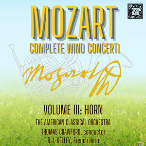 Horn Concerto In E-Flat Major, K. 417 - 1. Allegro