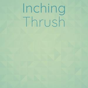 Inching Thrush