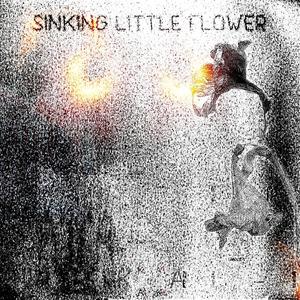 Sinking Litlle Flower