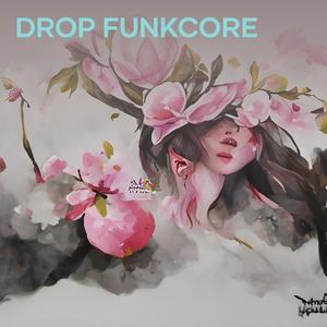 DROP FUNKCORE